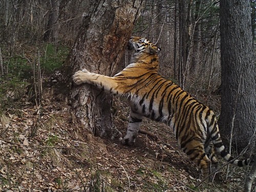 Foto-Aleksandr-Batalov